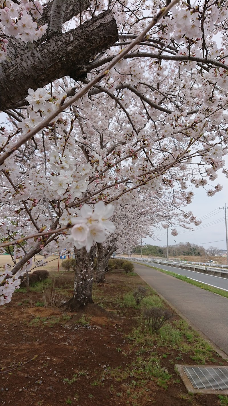 市原市 市津運動広場