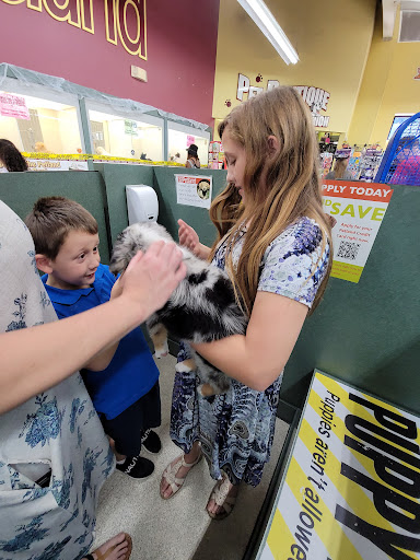 Pet Store «Petland Montgomery», reviews and photos, 7127 Eastchase Pkwy, Montgomery, AL 36117, USA