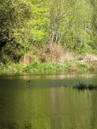 Nature Preserve «Redmond Watershed Preserve», reviews and photos, 21760 NE Novelty Hill Rd, Redmond, WA 98053, USA