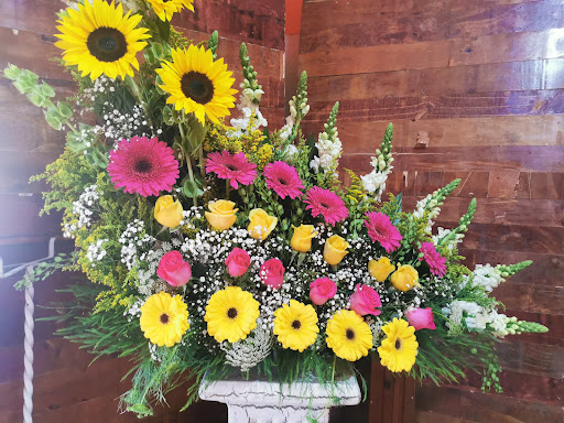 Florería Belen – San José Iturbide