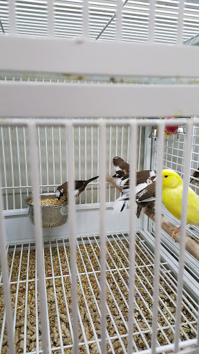 Pet Supply Store «Pet Supplies Plus», reviews and photos, 135-25 79th St, Howard Beach, NY 11414, USA