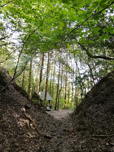 船田運送（有）