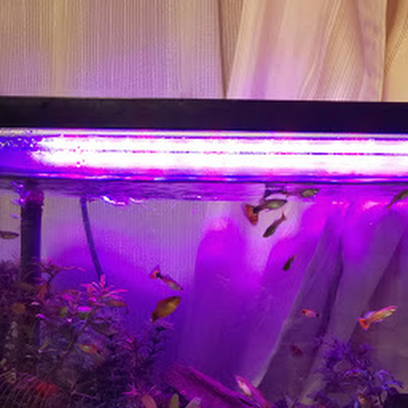 √1000以上 リサイクルショップ 水槽 大阪 437948-リサイクルショップ 水槽 大阪