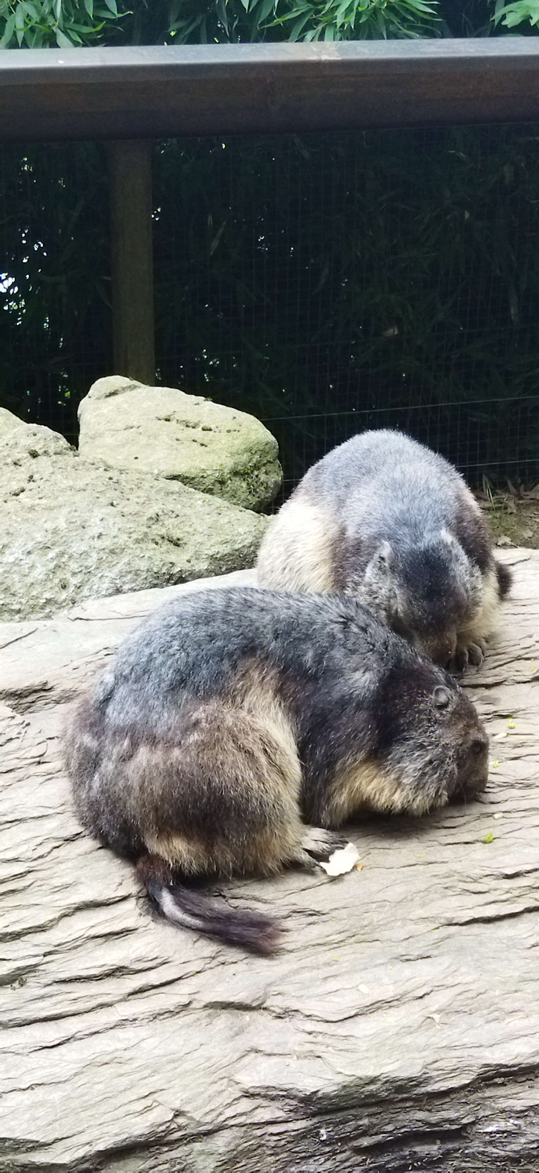 Photo n° 2 de l'avis de Marc.i fait le 03/08/2023 à 16:29