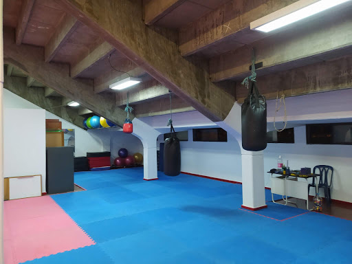 Club Deportivo de Taekwondo Jansu