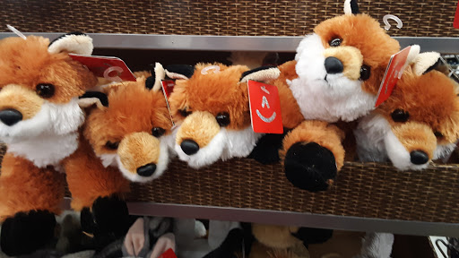 Home Improvement Store «Tractor Supply Co.», reviews and photos, 1701 US-377, Roanoke, TX 76262, USA