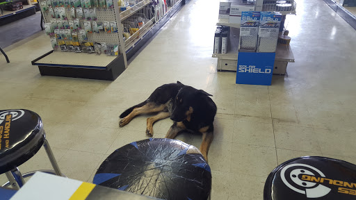 Auto Parts Store «NAPA Auto Parts - S & B Auto Parts», reviews and photos, 1400 W Dewitt Henry Dr, Beebe, AR 72012, USA