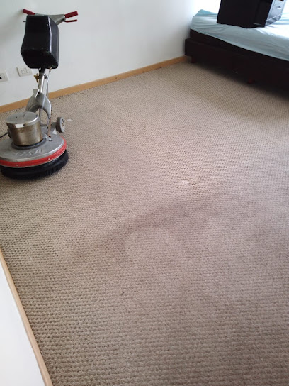 Desinfectado de alfombra colocada, Tapetes,Salas, Colchones, etc.