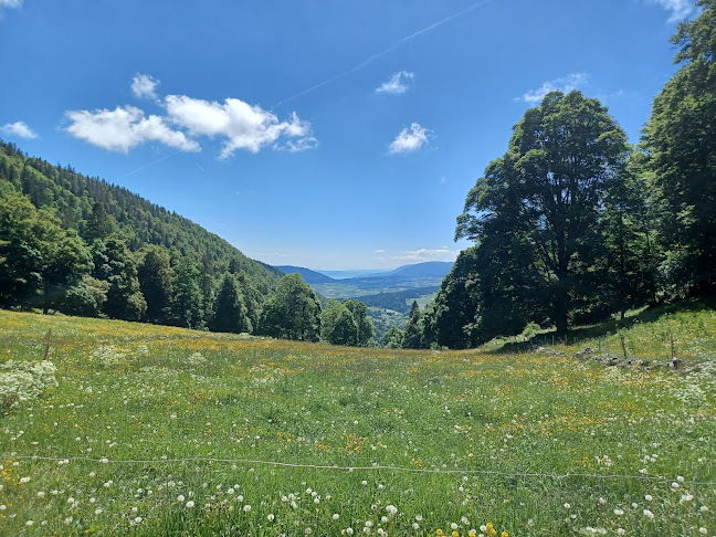 Kommentare und Rezensionen über Metairie du Fornel