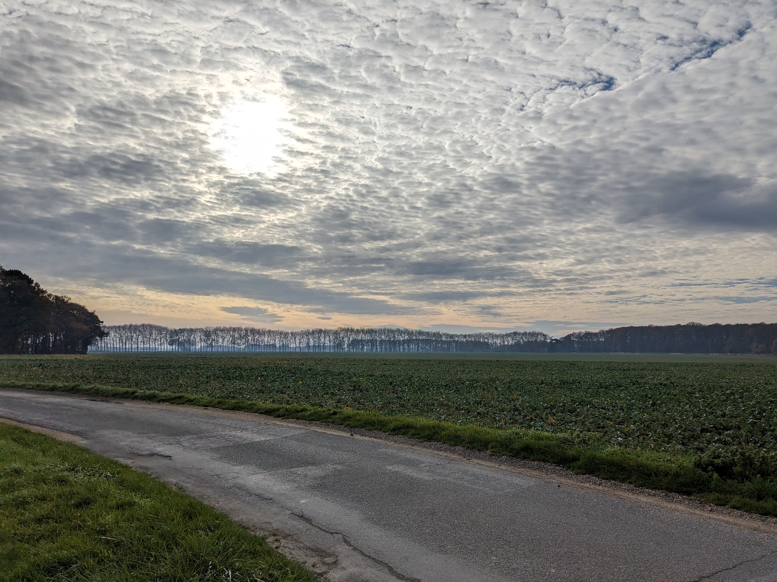 Photo n° 2 de l'avis de Jean-Marc.E fait le 03/01/2024 à 18:42