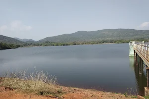 Devijhara dam image