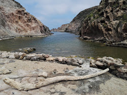 Cala Vinagra'in fotoğrafı vahşi alan