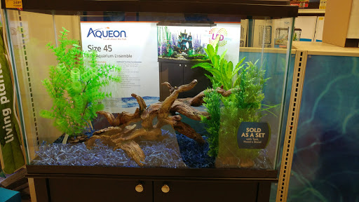 Pet Supply Store «PetSmart», reviews and photos, 2840 W Chandler Blvd, Chandler, AZ 85224, USA