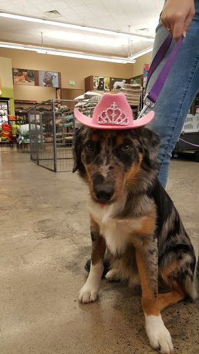 Pet Supply Store «Pet Food Express», reviews and photos, 2531 Fair Oaks Blvd, Sacramento, CA 95825, USA