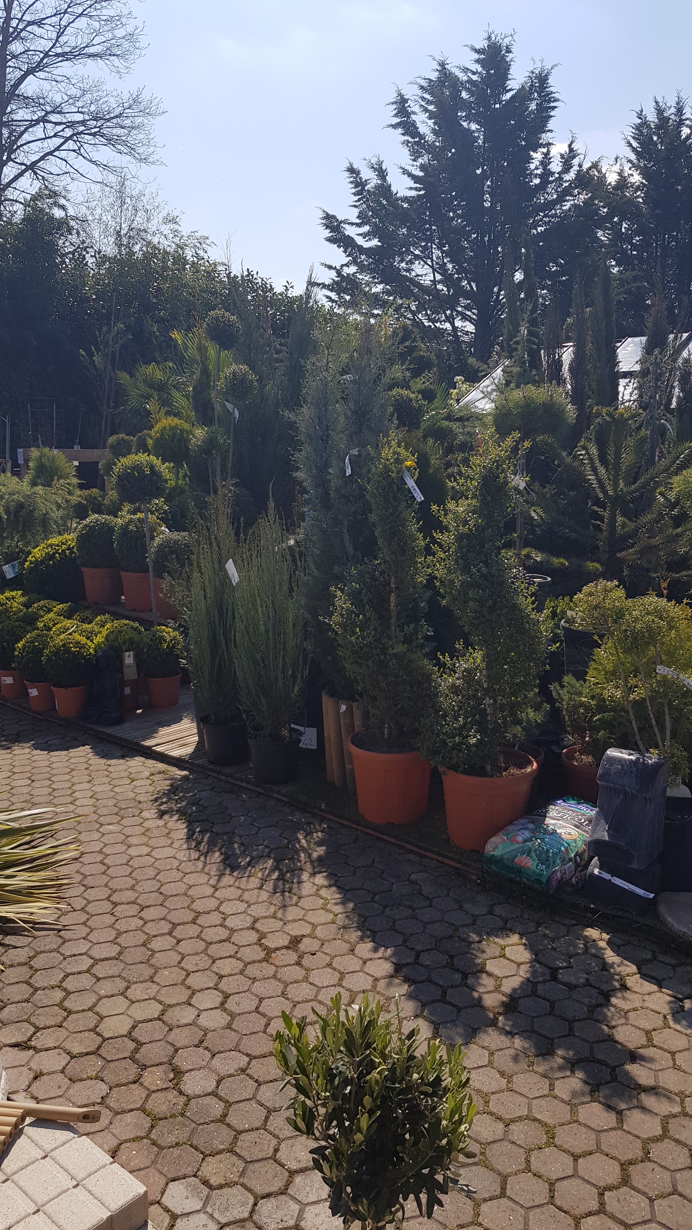 Photo n° 2 de l'avis de Stephane.h fait le 13/04/2019 à 13:58