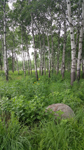 Nature Preserve «Rudy Kraemer Nature Preserve», reviews and photos, 12799 Chowen Ave S, Burnsville, MN 55337, USA