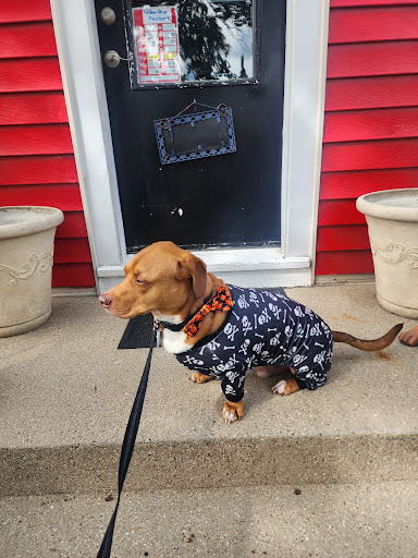 Paws In Thrift Boutique. We need weekend volunteers. Please share