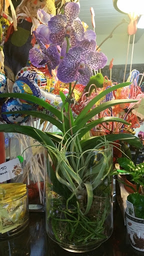 Florist «Natural Orchids Boutique», reviews and photos, 10129 SW 72nd St, Miami, FL 33173, USA