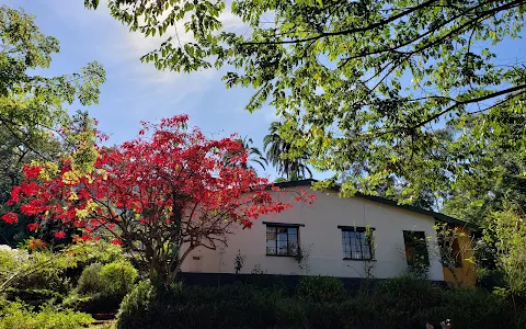 Zomba Forest Lodge image