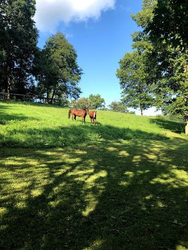 Event Venue «Thomas Farm Weddings and Events», reviews and photos, 519 Tranbarger Rd, Church Hill, TN 37642, USA