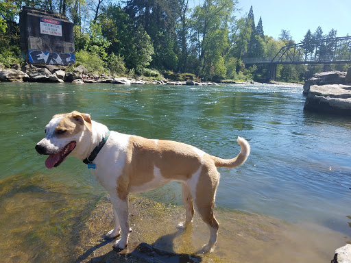 Park «High Rocks Park», reviews and photos, 25 82nd Dr, Gladstone, OR 97027, USA