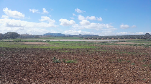 Laguna de Toro - A-7286, 29320 Campillos, Málaga