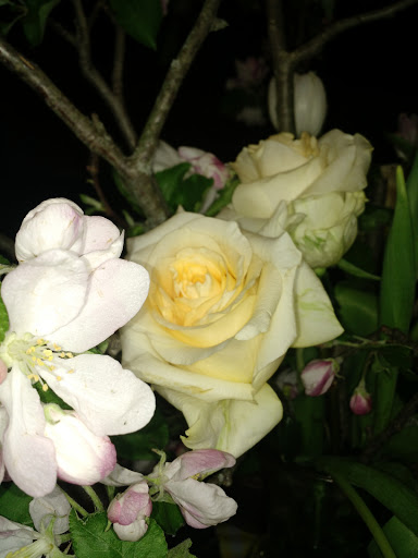 Night Club «The Cornerstone», reviews and photos, 125 N Main St, Galena, IL 61036, USA