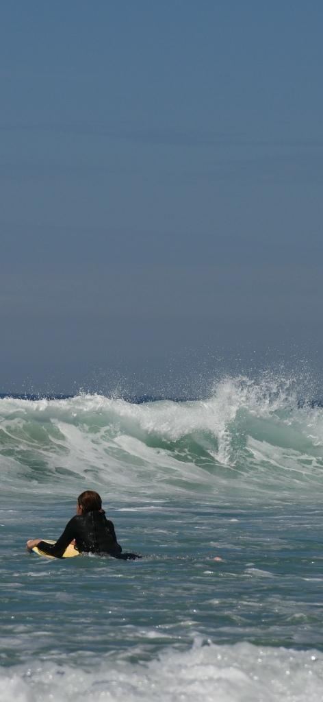 Photo n° 24 de l'avis de Phidis.a fait le 13/07/2022 à 23:31