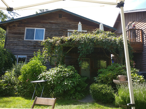 Vineyard «Olalla Vineyard & Winery», reviews and photos, 13176 Olalla Valley Rd SE, Olalla, WA 98359, USA