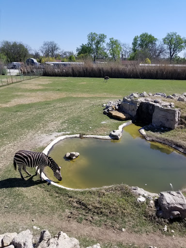 Zoo «Frank Buck Zoo», reviews and photos, 1000 W California St, Gainesville, TX 76240, USA