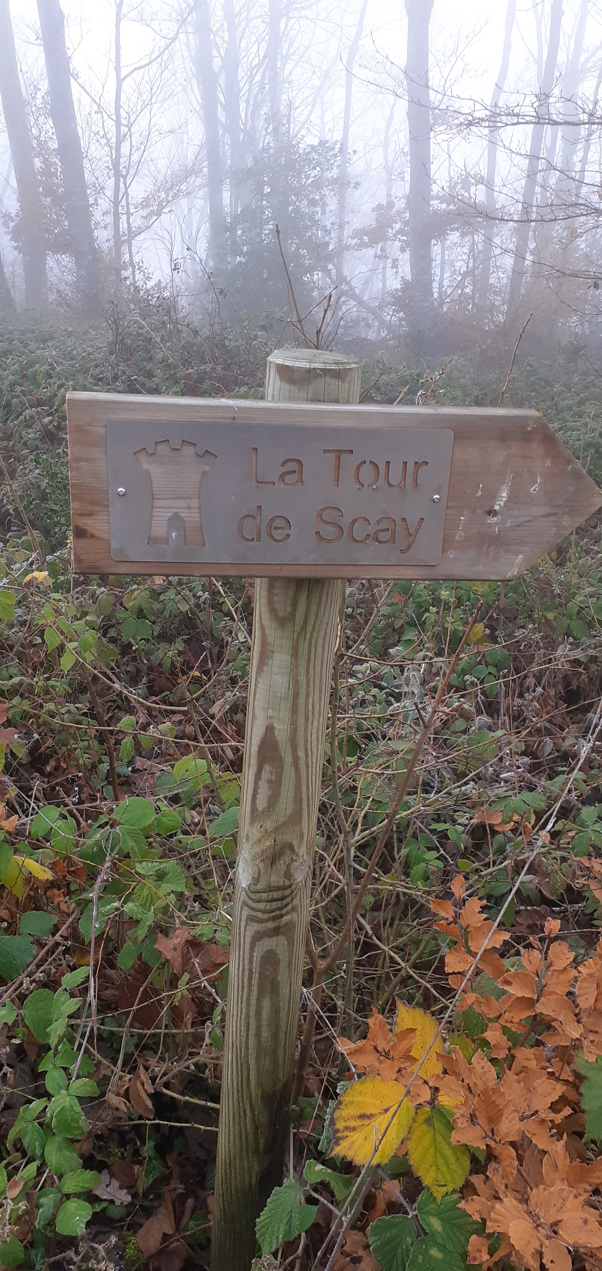 Photo n° 18 de l'avis de Jean.i fait le 18/12/2023 à 20:17