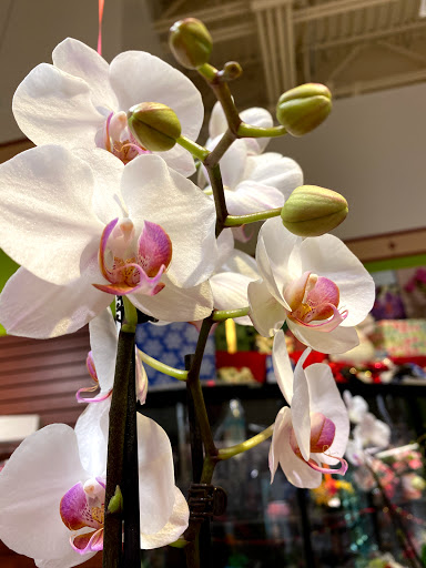 Supermarket «Price Chopper», reviews and photos, 10 Glenwood Ave, Binghamton, NY 13905, USA