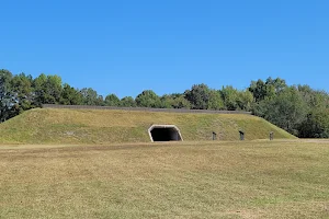 Pinson Mounds State Archaeological Park image