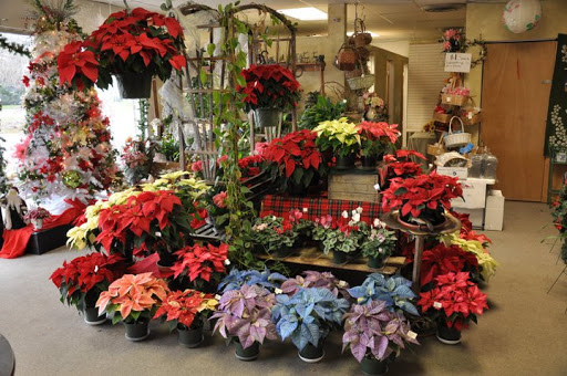 Florist «Florist York PA - Flower World», reviews and photos, 2925 E Prospect Rd, York, PA 17402, USA