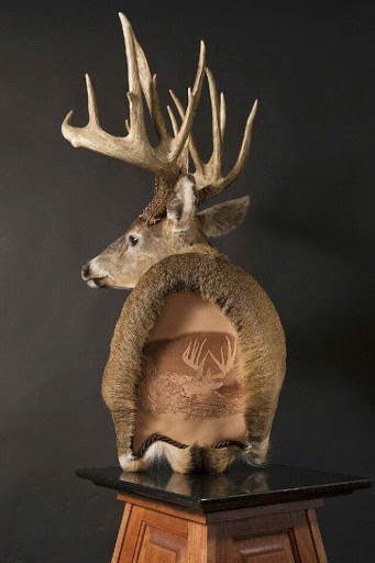 Taxidermist «HighPoint Taxidermy And Outfutters», reviews and photos, 14860 OH-13, Thornville, OH 43076, USA