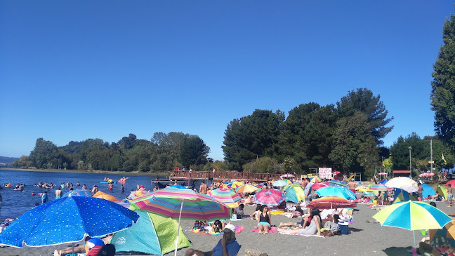 Opiniones de Camping Municipal Centinela en Puerto Octay - Camping