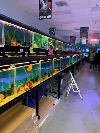 Pet Store «World of Wet Pets», reviews and photos, 8542 SW Apple Way, Portland, OR 97225, USA