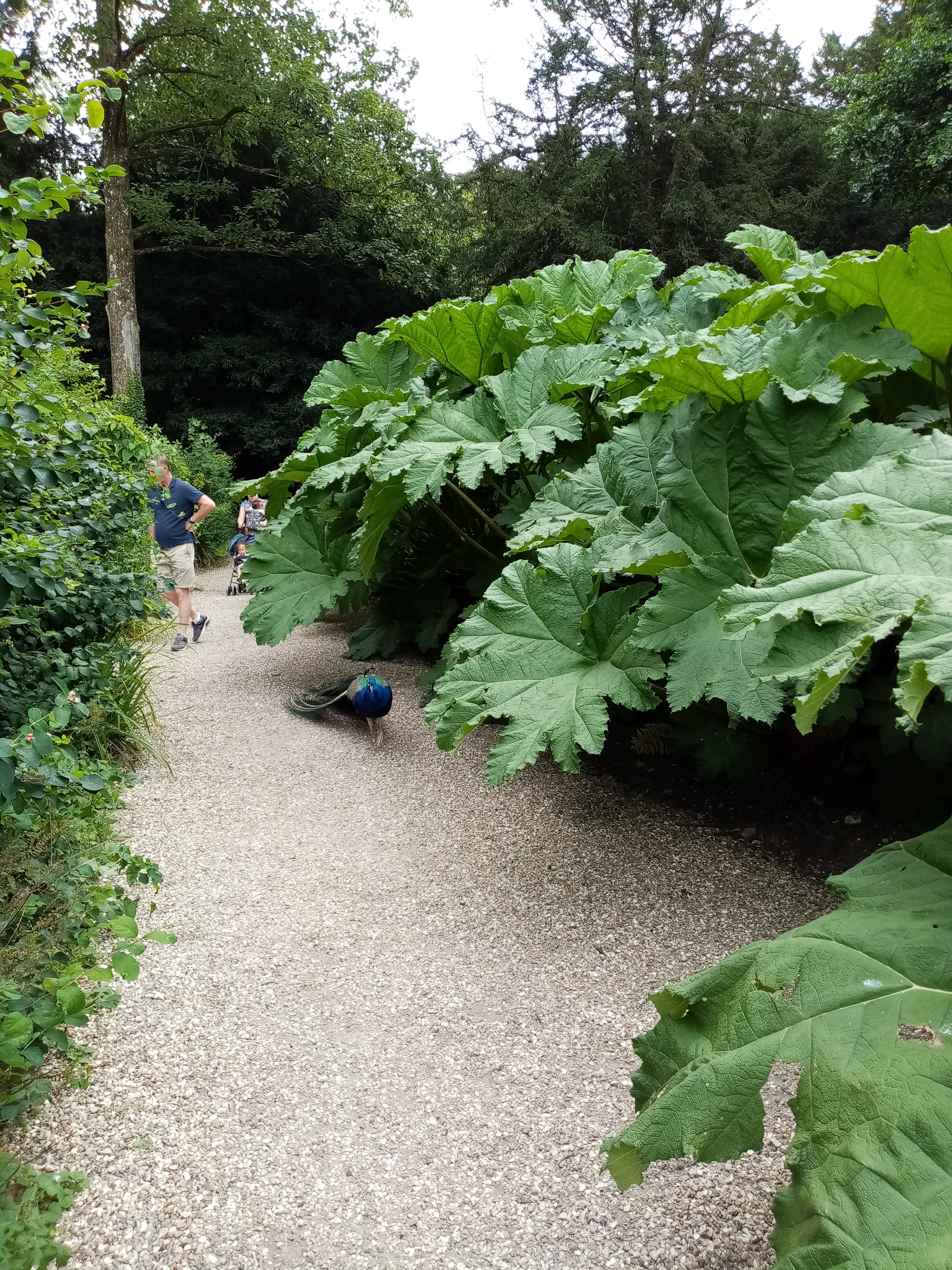 Photo n° 33 de l'avis de Marielaure.a fait le 25/07/2023 à 19:08