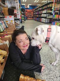 P-Dubs Pet Hub - Photo 8 - Car repair in Huntley, IL, Elgin