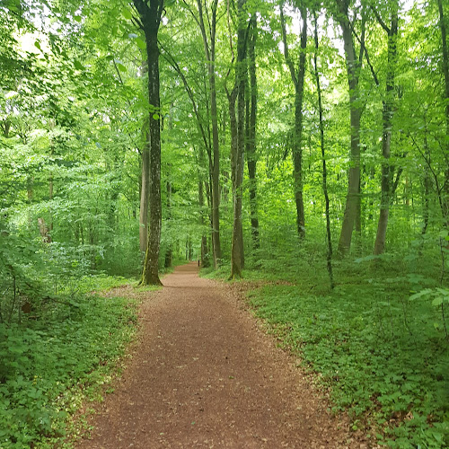 Parcours de santé Pierre POULAIN à Villerupt