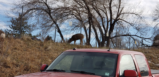 Land Rover Dealer «Land Rover Colorado Springs», reviews and photos, 565 Automotive Dr, Colorado Springs, CO 80905, USA