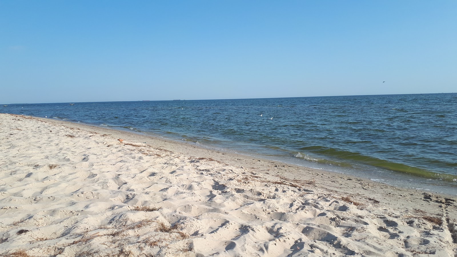 Foto von Chernomorskaya kosa mit beiger sand Oberfläche