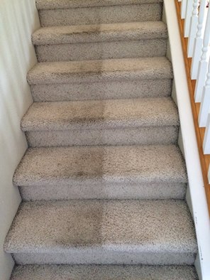 Carpet Cleaning Service «Alert Carpet Cleaning And Services LLC», reviews and photos, 611 S State St, Nampa, ID 83686, USA