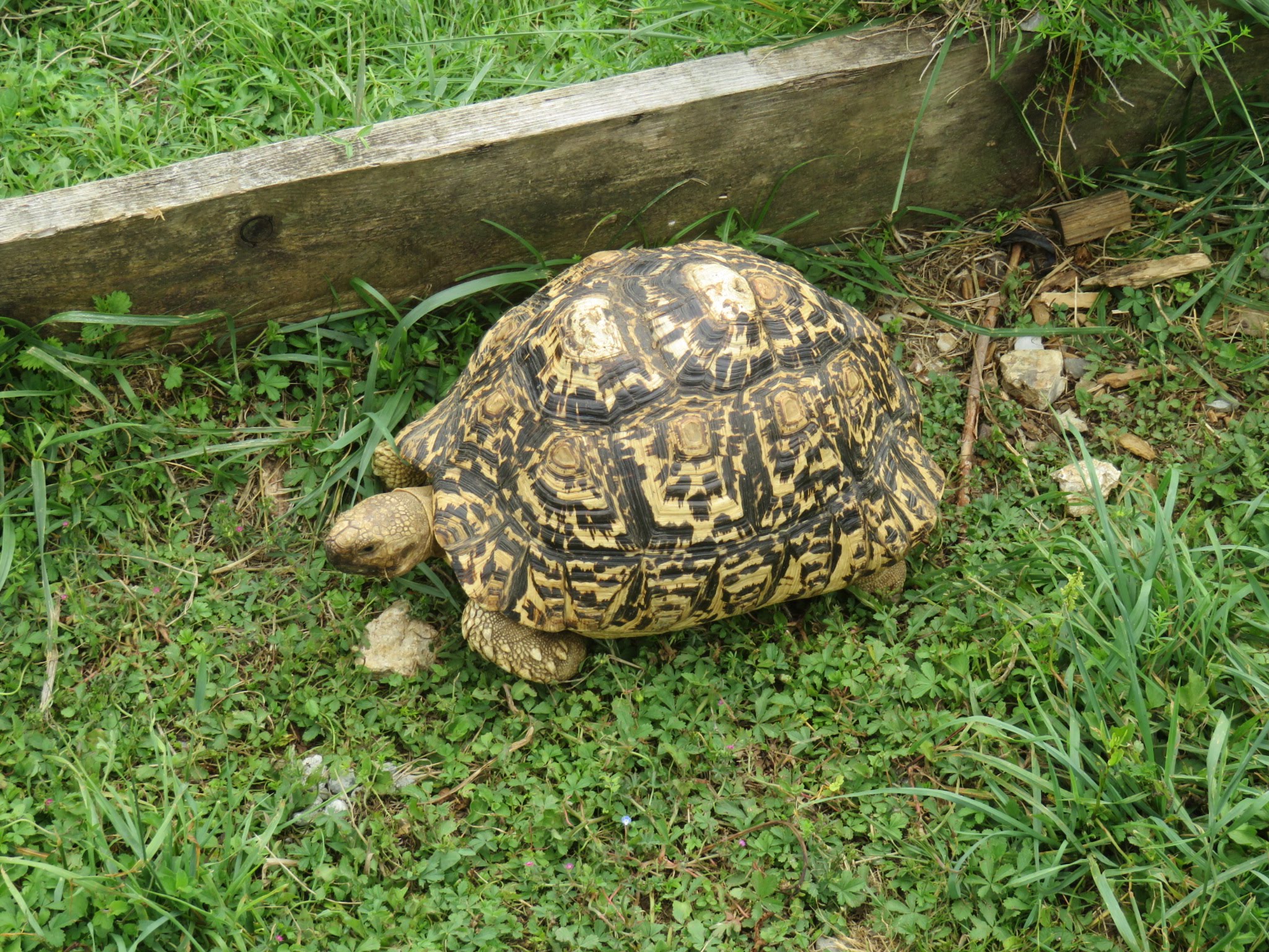 Photo n° 4 de l'avis de Joelle.o fait le 19/07/2019 à 12:55