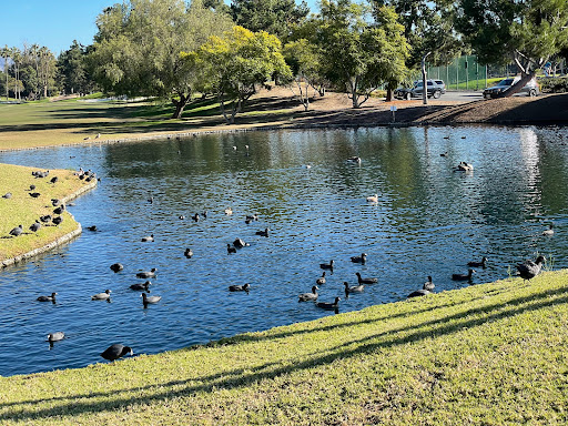 Public Golf Course «Tustin Ranch Golf Club», reviews and photos, 12442 Tustin Ranch, Tustin, CA 92782, USA