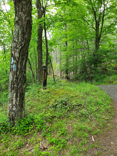 Metacomet Trail