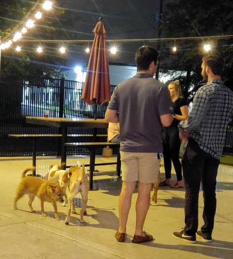 Lucky Dog Bark & Brew Charlotte