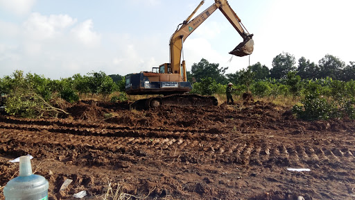 Công ty TNHH Nông nghiệp Công nghệ cao Dabaco