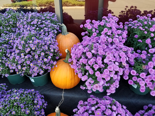 Grocery Store «Stop & Shop», reviews and photos, 404 Springfield Ave, Berkeley Heights, NJ 07922, USA