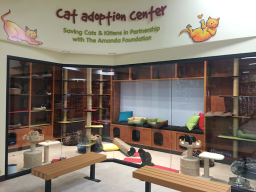 Pet Supply Store «Pet Food Express», reviews and photos, 9153 W Olympic Blvd, Beverly Hills, CA 90212, USA